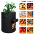 S2038 - Kono 10 Gallon Garden Vegetable Grow Bag - Black